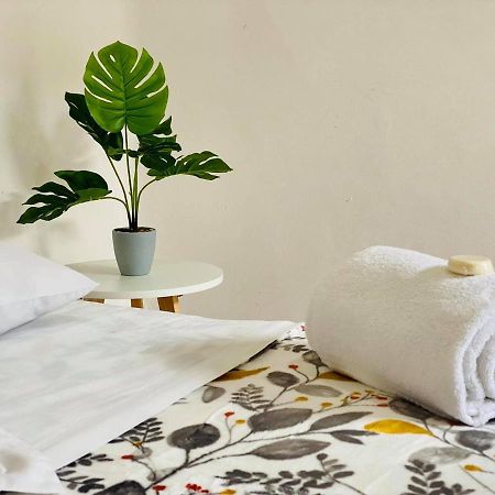 Casa Del Centro Bed and Breakfast Morelia Eksteriør billede