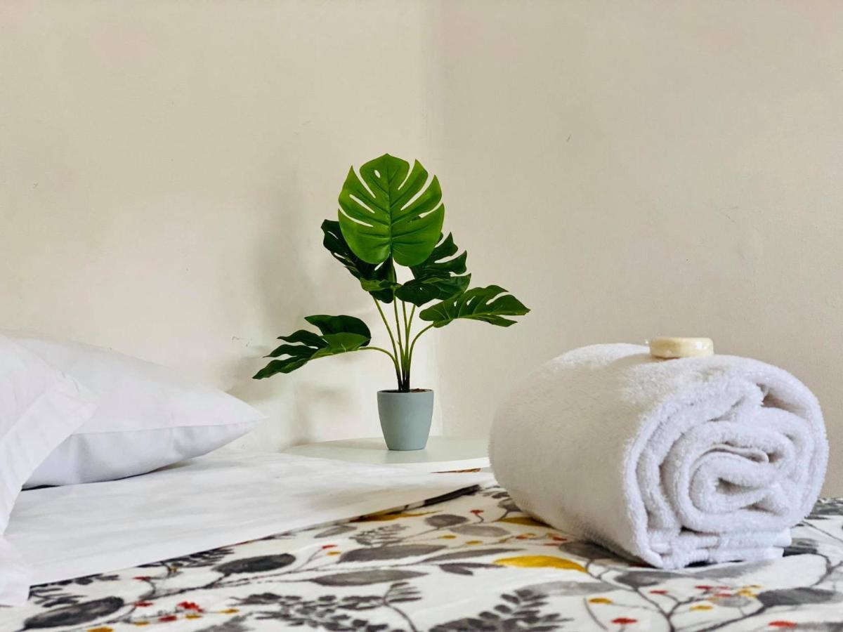 Casa Del Centro Bed and Breakfast Morelia Eksteriør billede